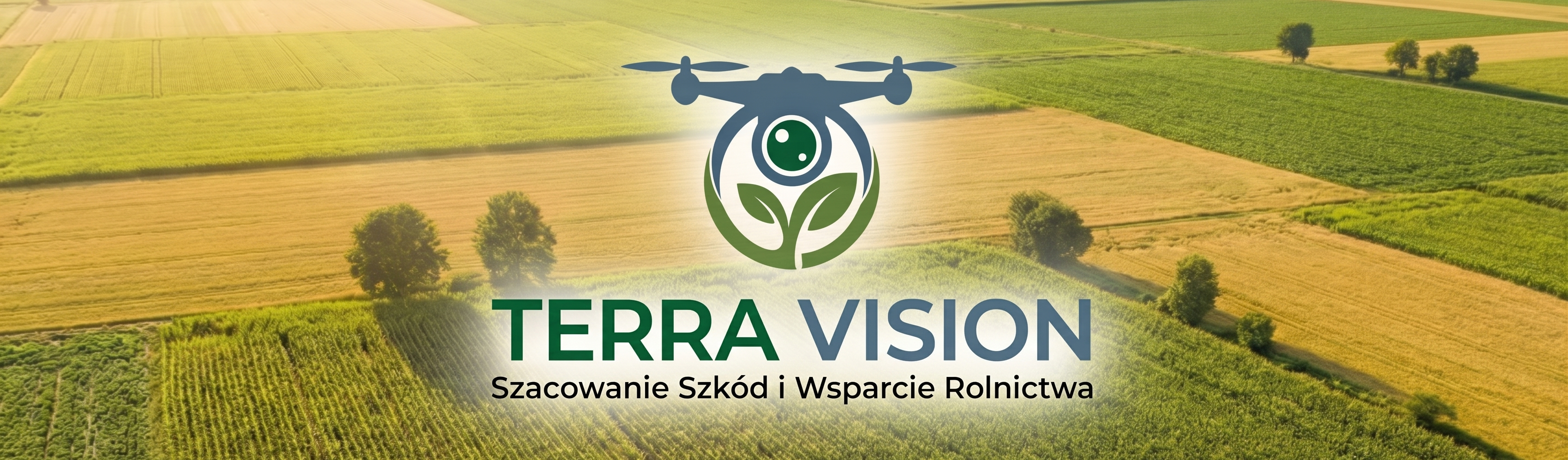 Terra Vision Logo